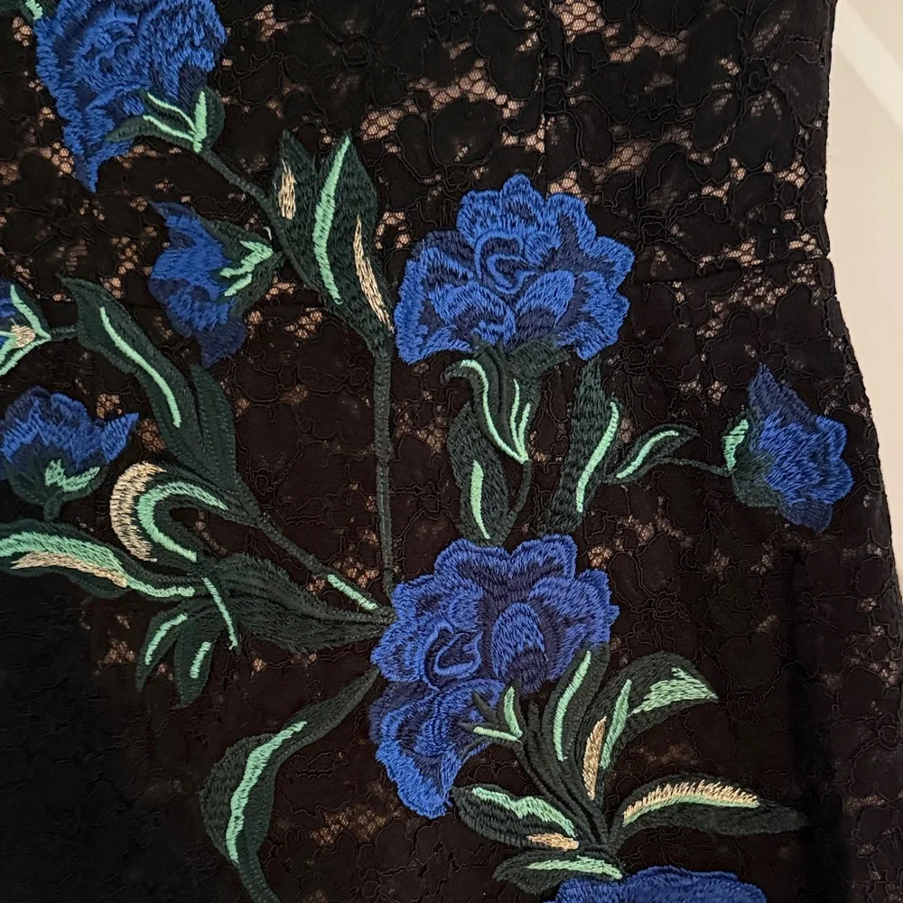 Black Lace Slip Dress with Blue Floral Embroidery - Picture 5 of 5